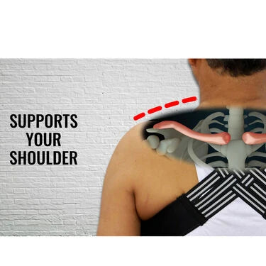 Posture Corrector Belt
